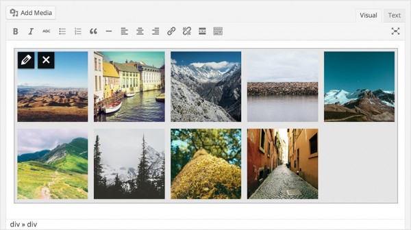 WordPress 3.9 Gallery