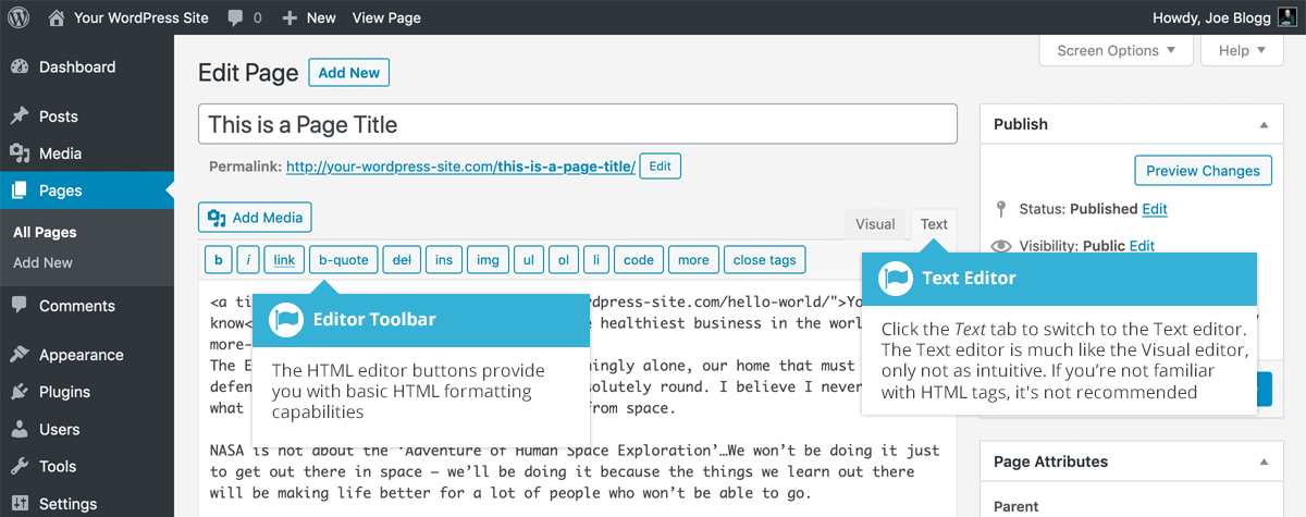 Classic Text Editor ของ WordPress